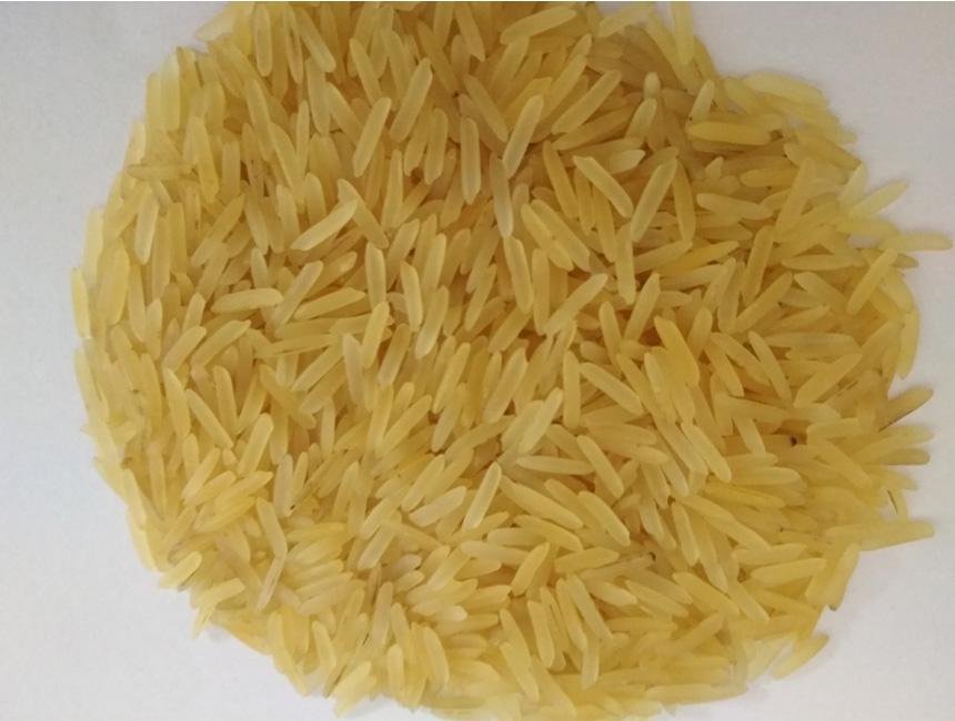 Rice