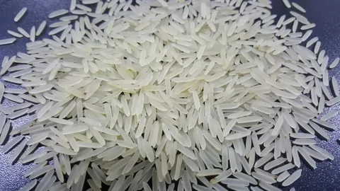 Rice