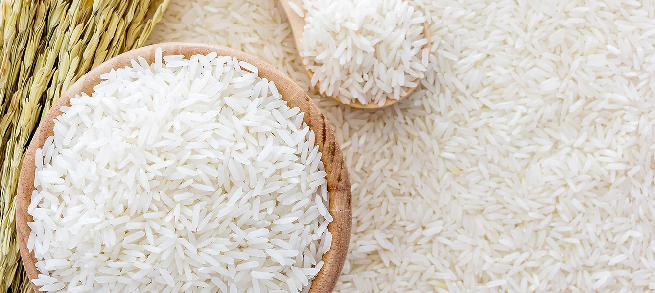 Rice