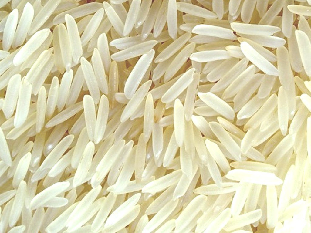 Rice