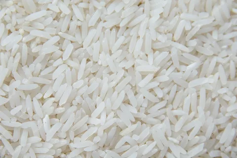 Rice